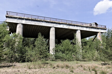 IMG 0101