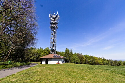 IMG 0081