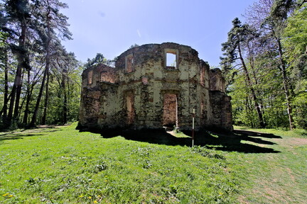 IMG 0082